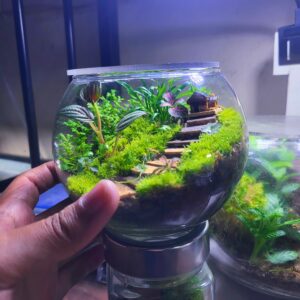 The Mini Stairs