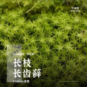 Hair Moss
