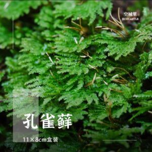 Peakok Moss