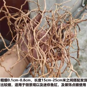 200 gm Spider Wood Branches