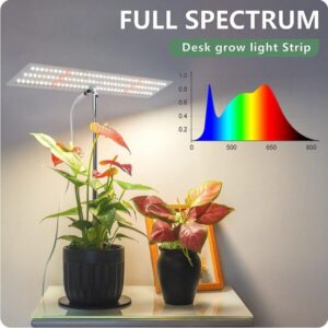 Full spectrum plants grow light.