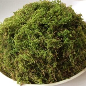 Dry Moss ( 100 gm)