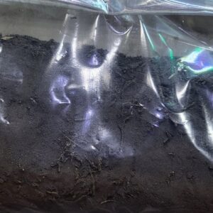 Sticky soil mix 200 gm pack