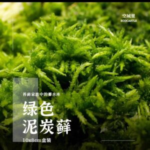 Live Spagnum Moss (3.5 inch Round pot)