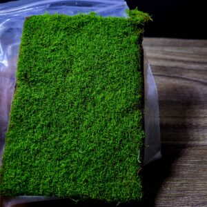 Sheet Moss