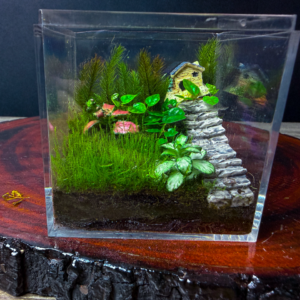 Mini Stairs Cube