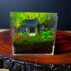 Japanese House cube