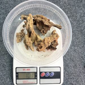 🪾Imported Ancient Wood for Aquariums and terrariums 100 gm pack