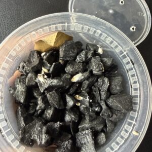 Small Springtail culture (Captive Breed)