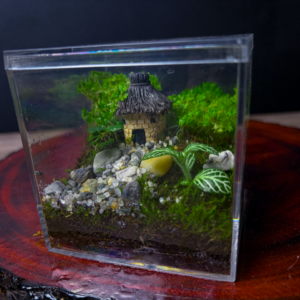 Straw house cube