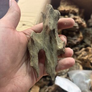 Dragon Wood 100 gm