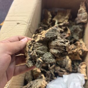 Cork Bark 100 gm