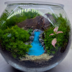 The Mini Stream
