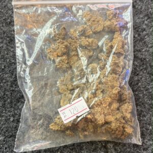 shrimp food