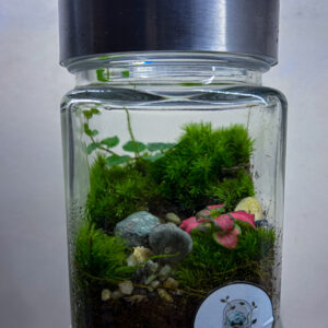 The mini garden