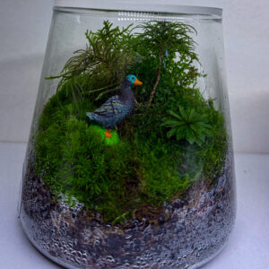 The Duck forest